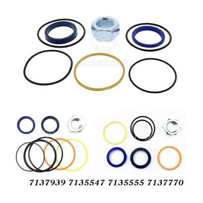 Tractor spare parts 7137939/7135547 series national mechanical engine hydraulic rubber oil seals kits for bobcat